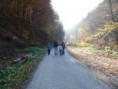 /album/lasovanie-v-cermeli-6-11-2011/lasovanie12-jpg/